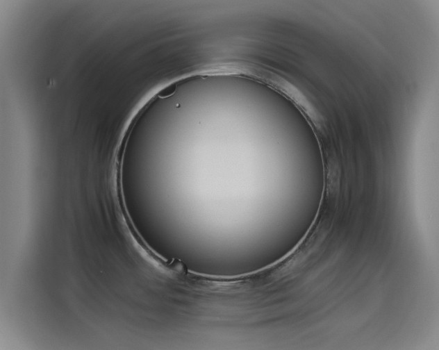 X0000114221484200910161257