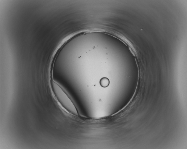 X0000114221485200910161257