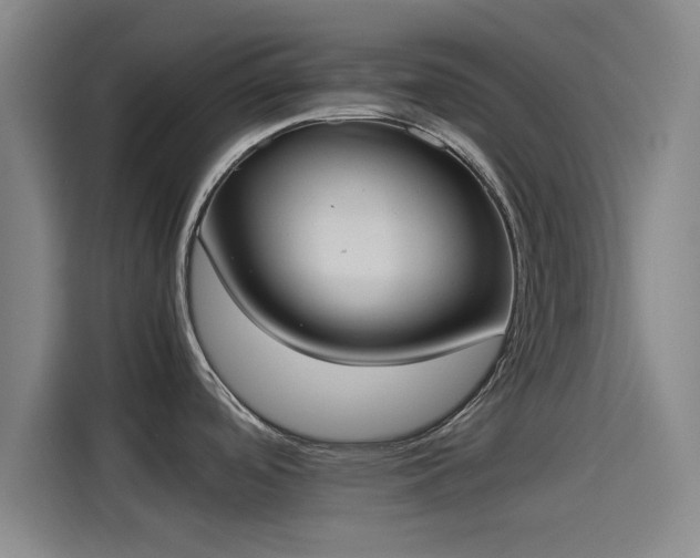 X0000114221488200910161257