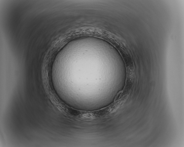 X0000114221489200910161257