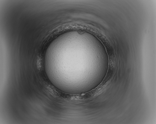 X0000114221490200910161257