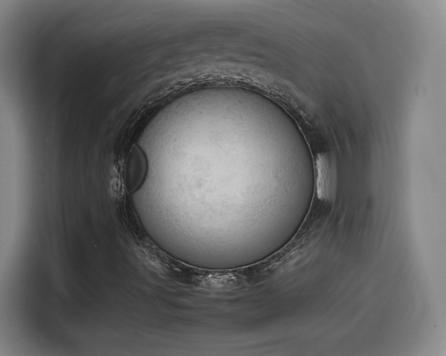 X0000114221491200910161257