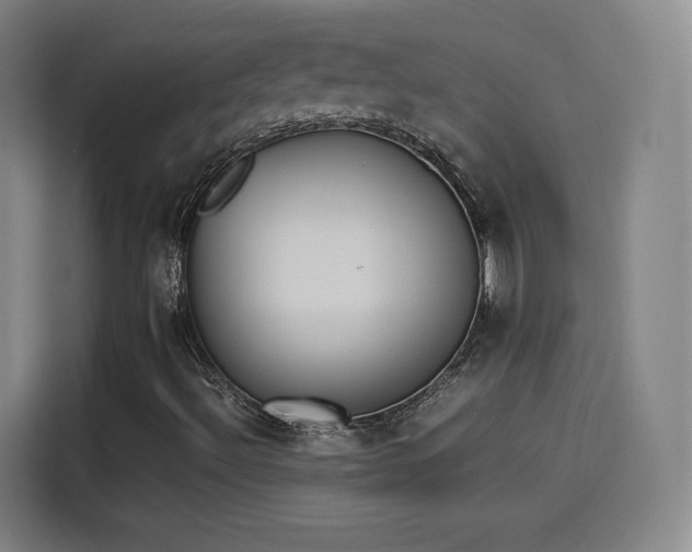 X0000114221492200910161257