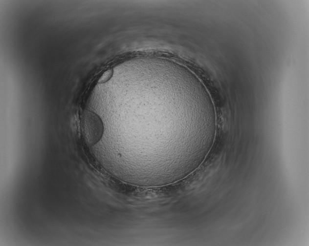 X0000114221493200910161257