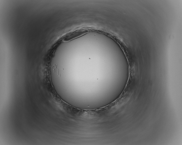 X0000114221496200910161257