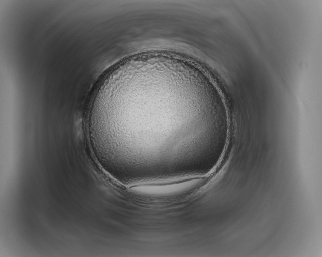 X0000114221497200910161257