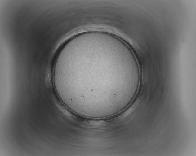 X0000114221498200910161257