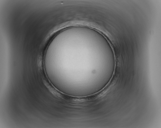 X0000114221499200910161257