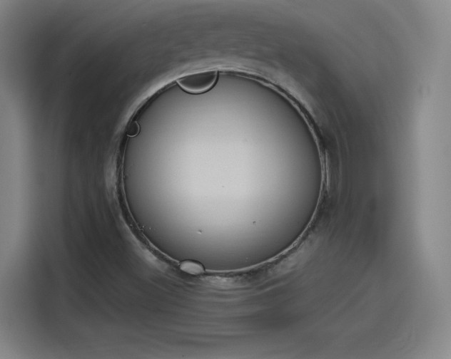 X0000114221500200910161257