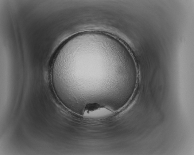 X0000114221501200910161257