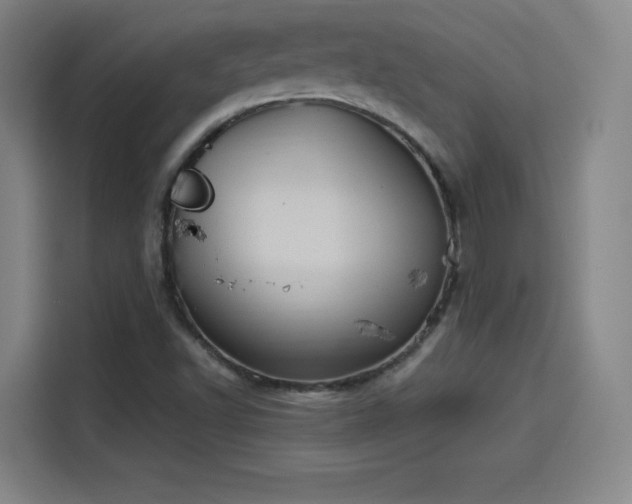 X0000114221502200910161257