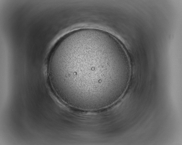 X0000114221503200910161257