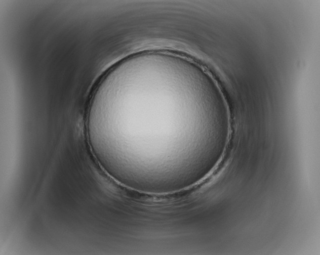 X0000114221505200910161257