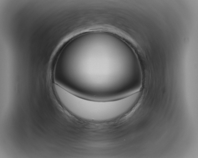 X0000114221506200910161257