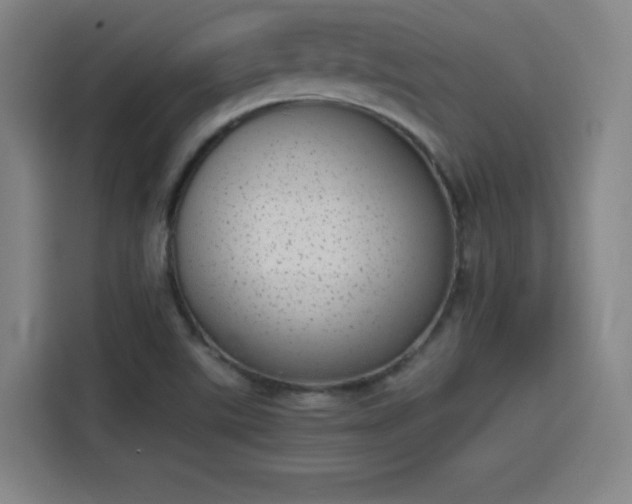 X0000114221507200910161257