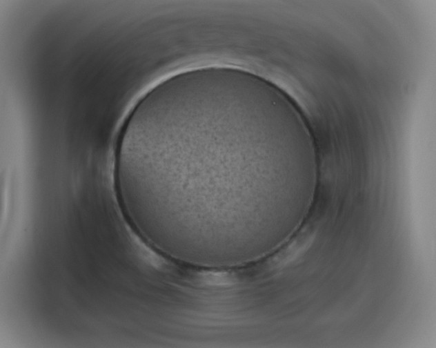 X0000114221508200910161257