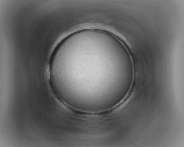 X0000114221509200910161257