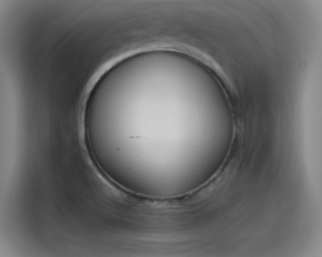 X0000114221512200910161257