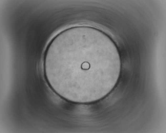 X0000114221514200910161257