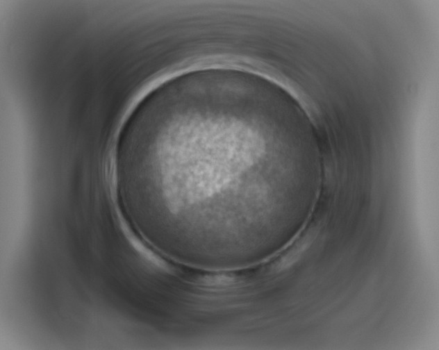 X0000114221515200910161257