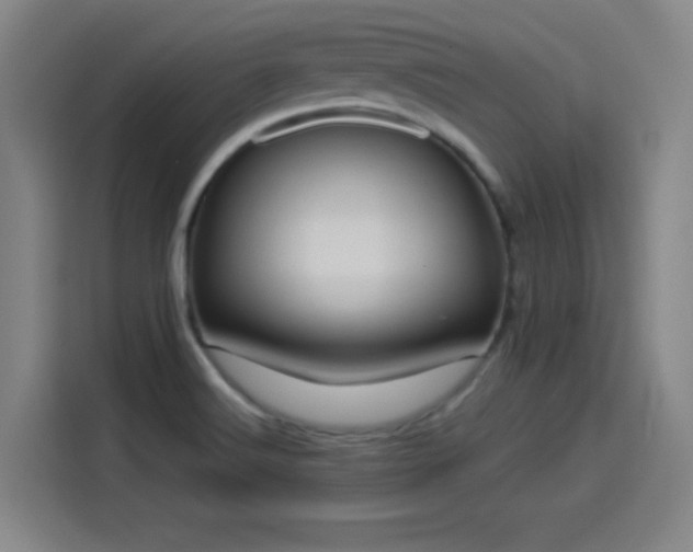 X0000114221516200910161257