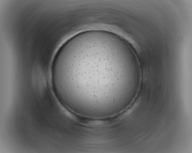 X0000114221517200910161257