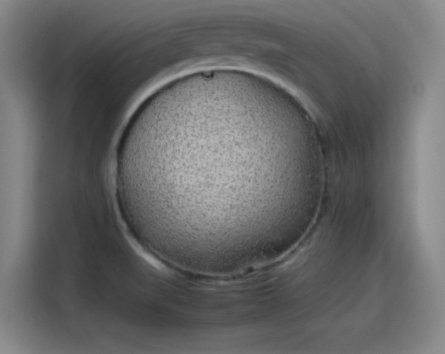 X0000114221519200910161257