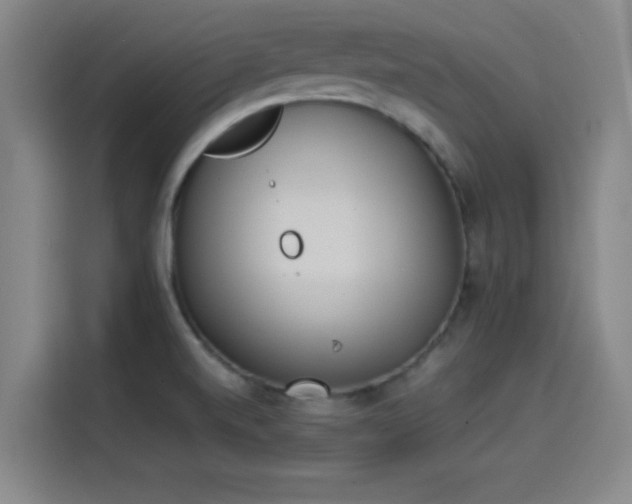 X0000114221520200910161257