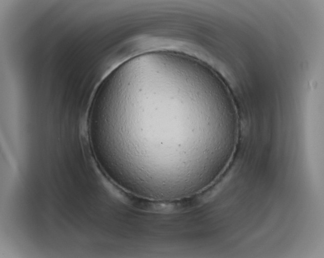 X0000114221521200910161257