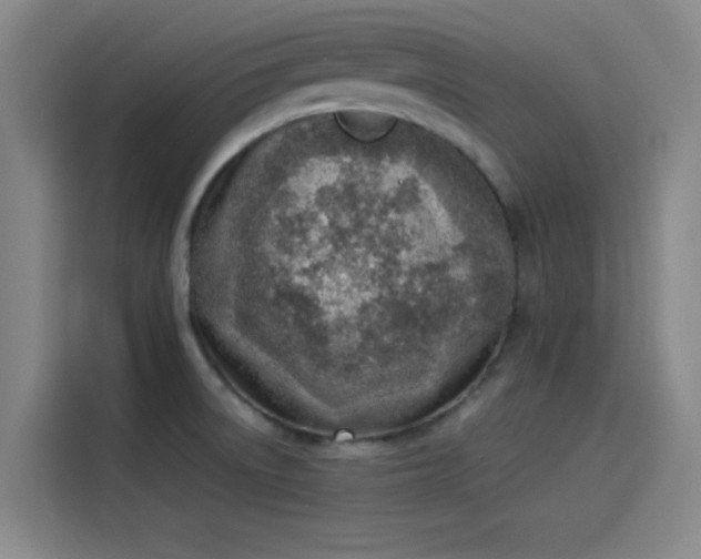 X0000114221522200910161257