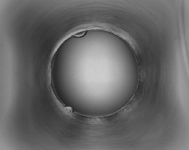 X0000114221524200910161257