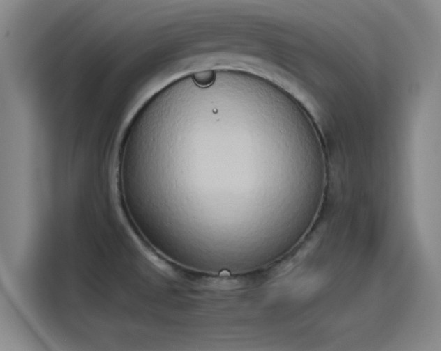 X0000114221525200910161257