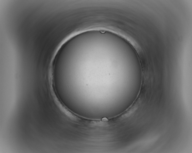 X0000114221526200910161257