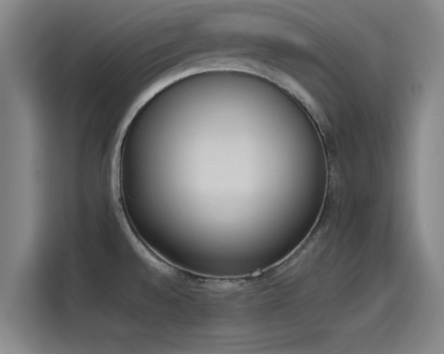 X0000114221528200910161257