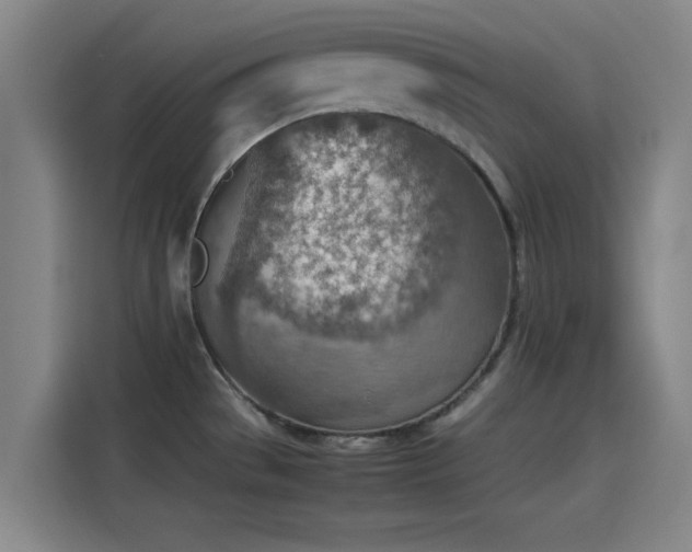 X0000114221529200910161257