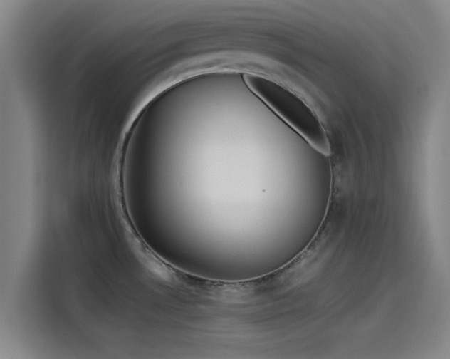 X0000114221530200910161257