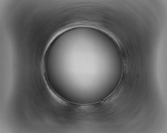 X0000114221531200910161257