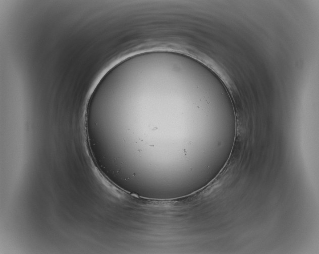 X0000114221532200910161257