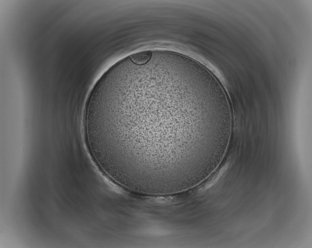 X0000114221533200910161257