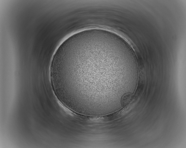 X0000114221535200910161257