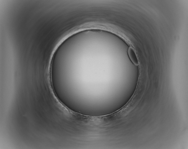 X0000114221536200910161257