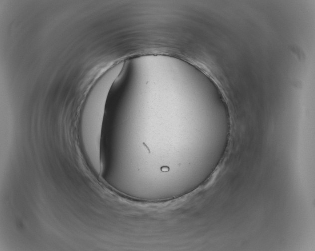 X0000114220001200910231452