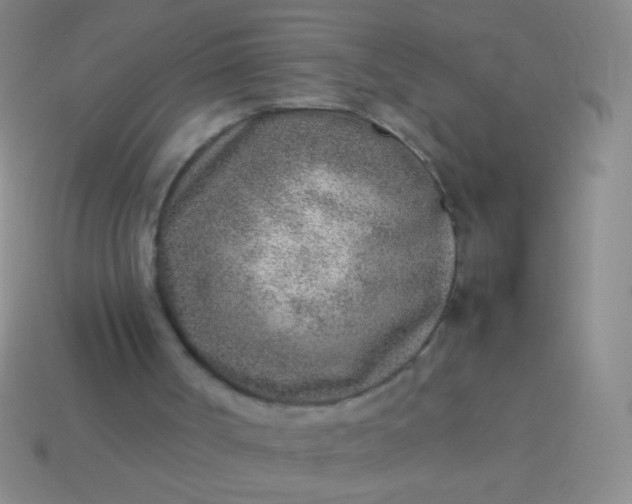 X0000114220002200910231452