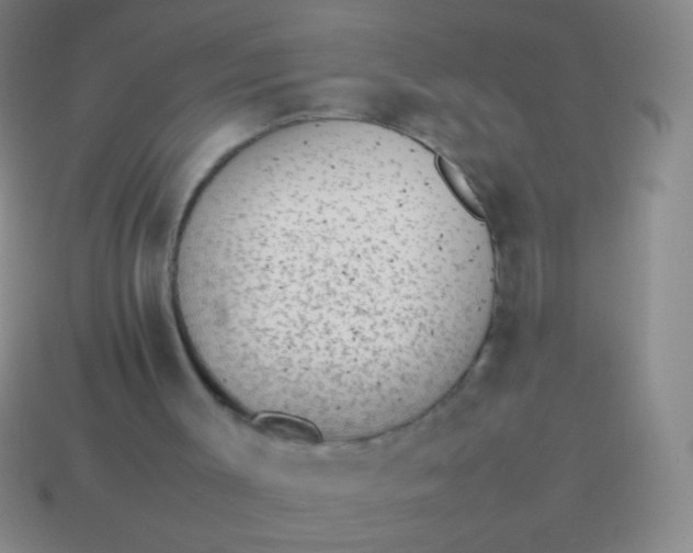 X0000114220003200910231452