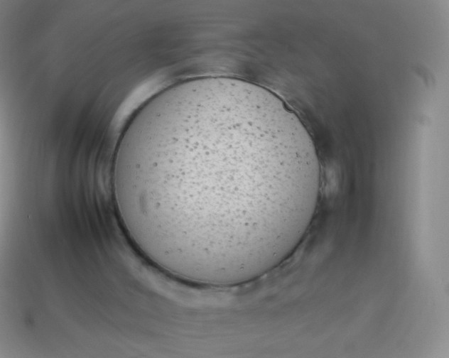 X0000114220004200910231452