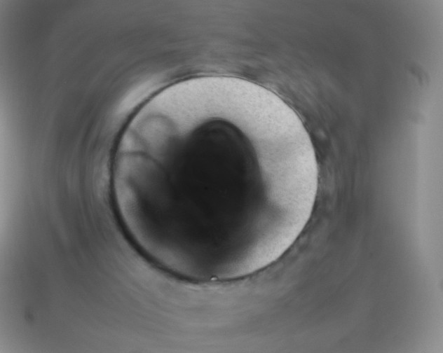 X0000114220005200910231452