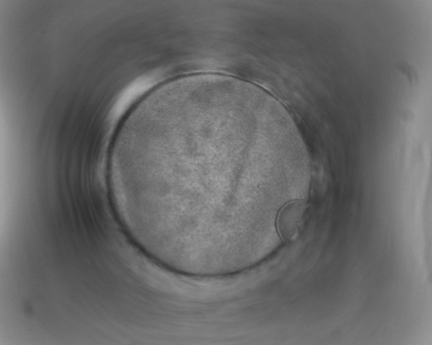 X0000114220006200910231452