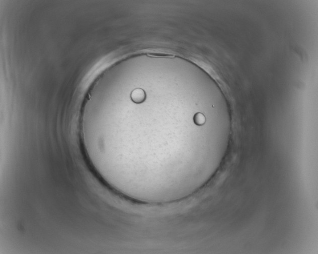 X0000114220007200910231452