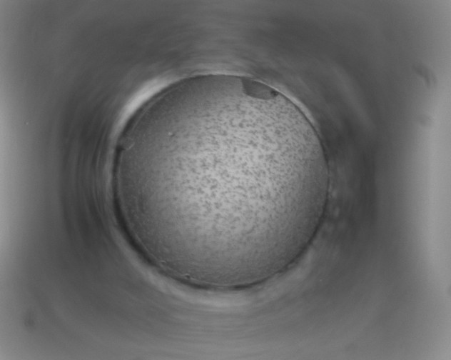 X0000114220008200910231452