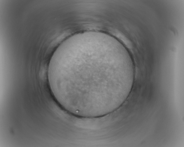 X0000114220009200910231452